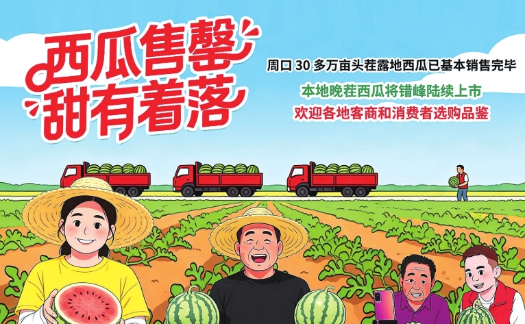 西瓜售罄 甜有着落